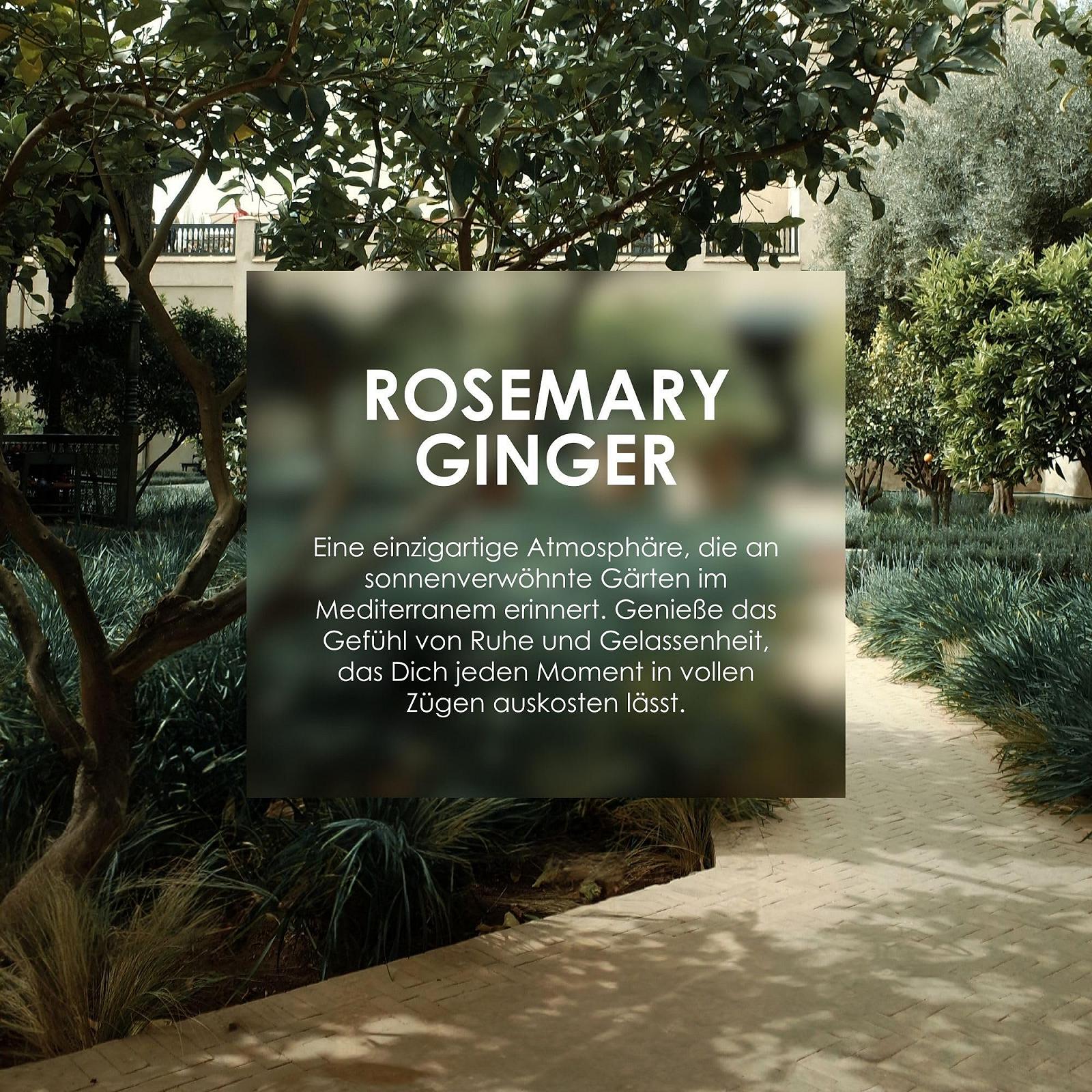 Пена для душа Jean & Len Rosemary & Ginger с миндальным маслом, жожоба и бабассу 200 мл, фото №3