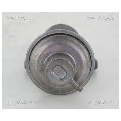 Клапан EGR TRISCAN 8813 25006 для RENAULT, фото №2