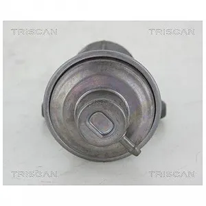 Клапан EGR TRISCAN 8813 25006 для RENAULT synthetic.ua - Фото 1