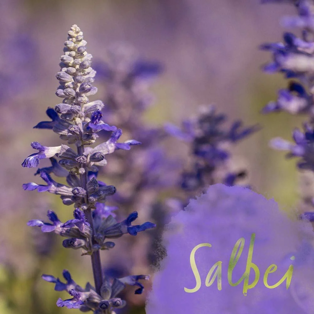 Засіб для росту волосся Vital Fluid Forte	Strong, фото №6