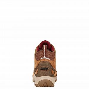 Чоботи жіночі ARIAT Telluride II H20, темно-коричневі synthetic.ua - Фото 1