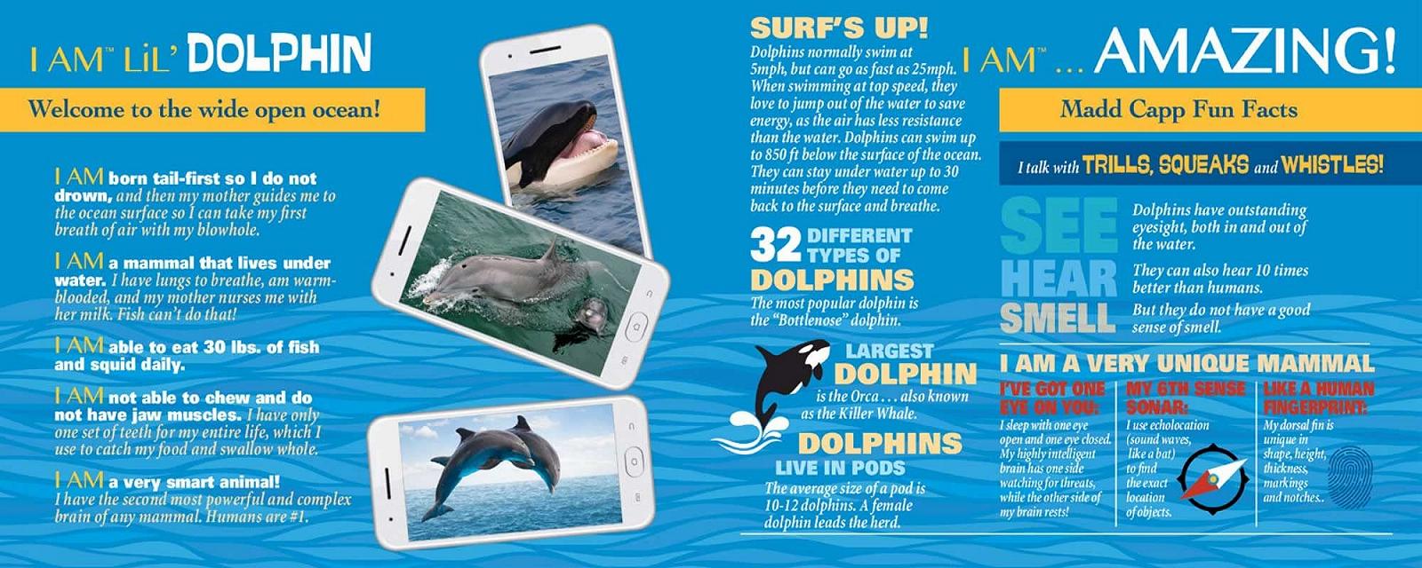 Пазл фігурний Madd Capp Junior Dolphin 100 деталей, фото №4 Пазл фігурний Madd Capp Junior Dolphin 100 деталей, фото №4