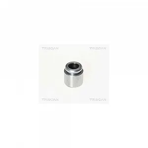 Поршень тормозного суппорта TRISCAN 8170 233023 - Фото 1