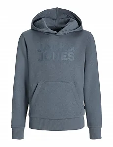 Толстовка JACK & JONES Jjecorp Logo Sweat Hood Sn Mni для хлопчиків - Фото 1