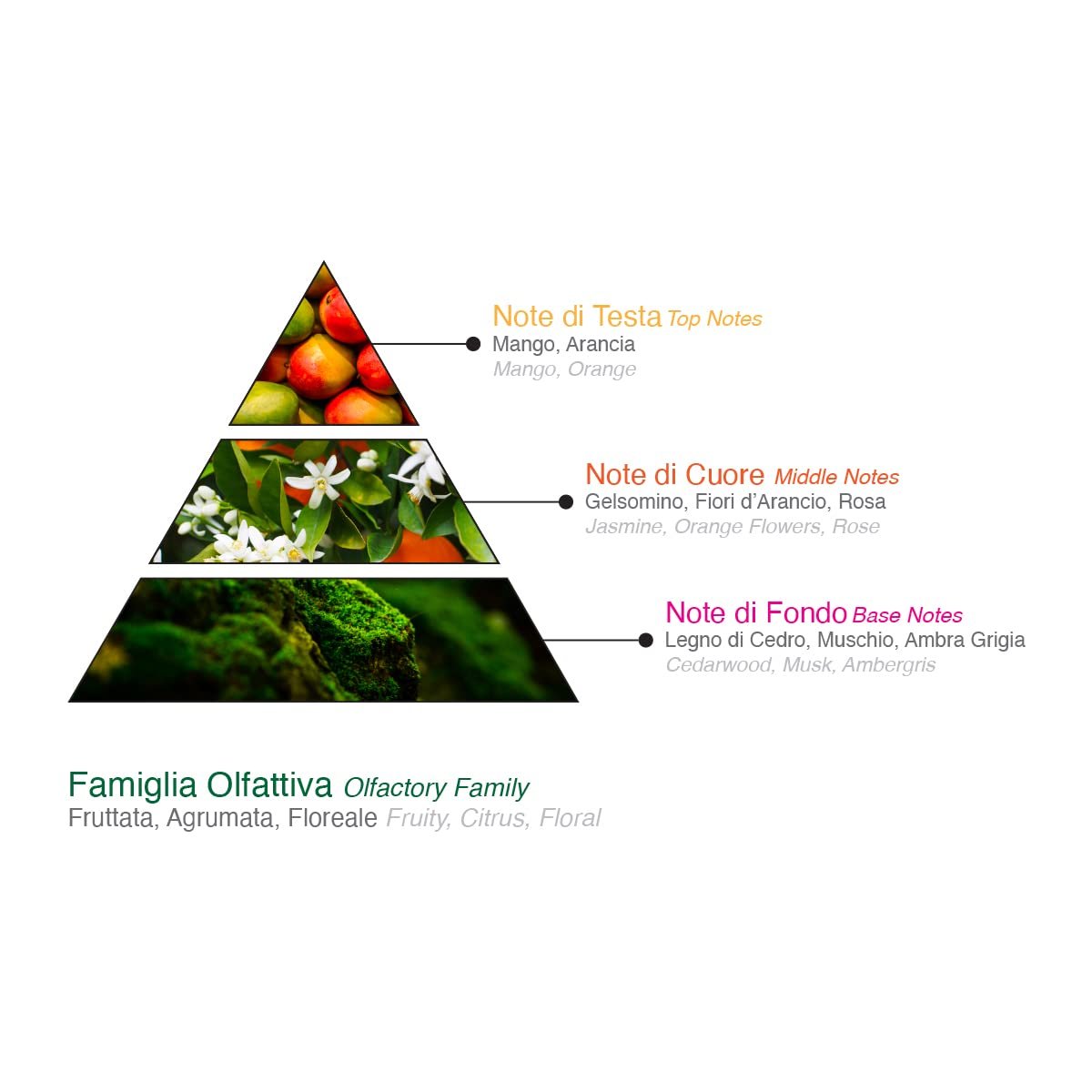 Гель для душа Cats Note Blu Roma 1946 400 мл фруктовый и цитрусовый, фото №4 Гель для душа Cats Note Blu Roma 1946 400 мл фруктовый и цитрусовый, фото №4