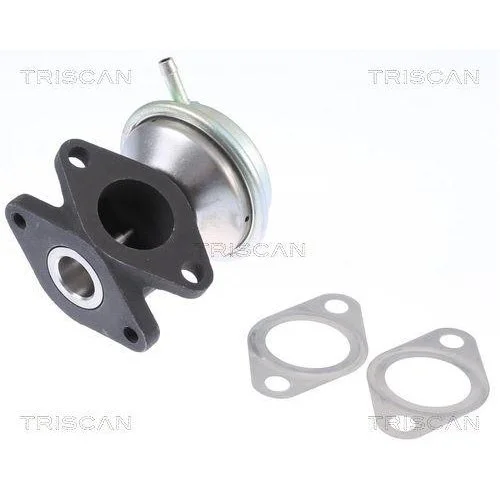 Клапан EGR TRISCAN 8813 29016 для AUDI SKODA VW, фото №2