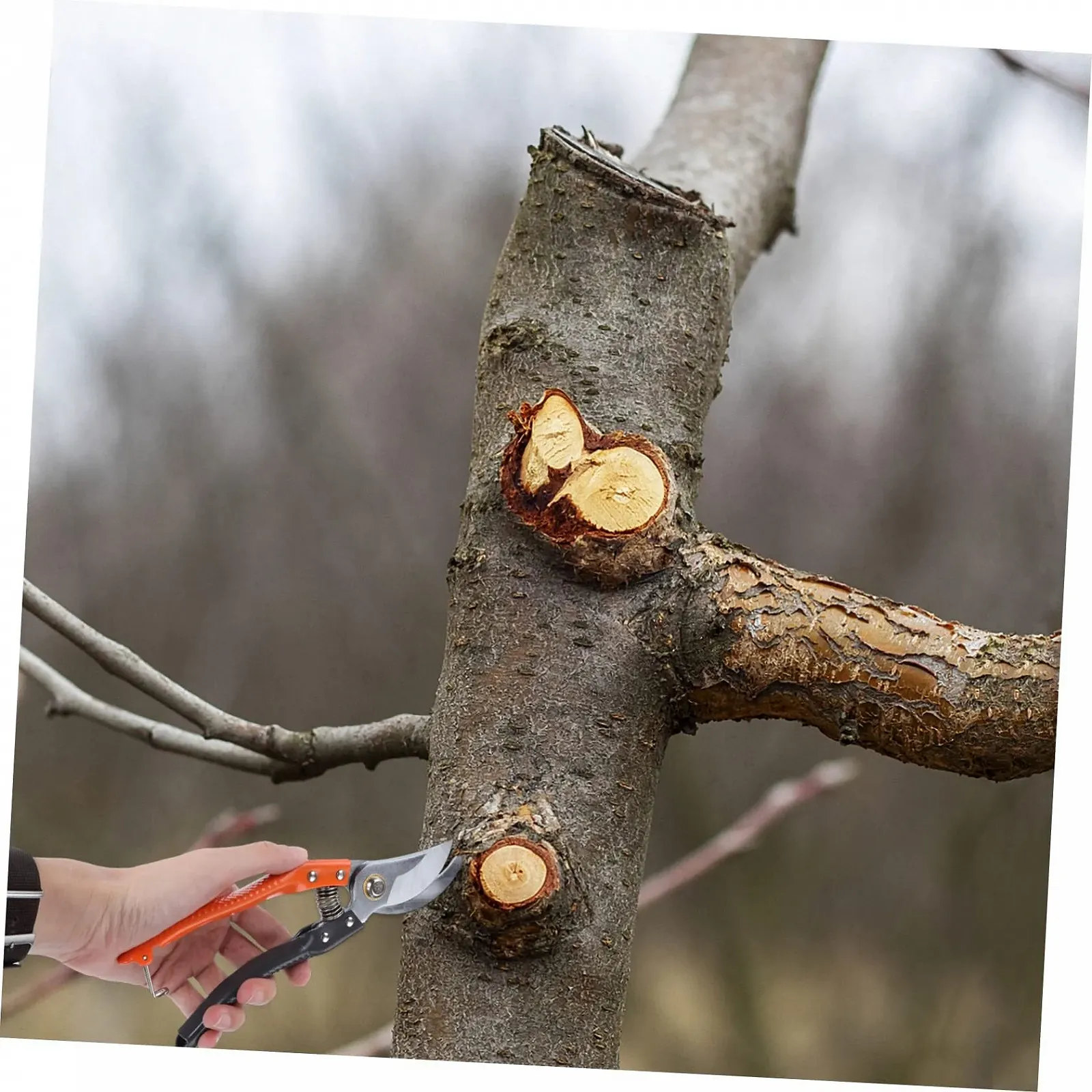 Секатор садовий Happyyami Марганцева сталь Різнокольоровий, фото №9