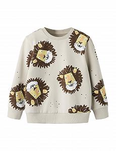 Толстовка Name IT Nmmsaku LS Nreg SWE Bru - Фото 1