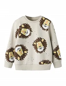 Толстовка Name IT Nmmsaku LS Nreg SWE Bru - Фото 1