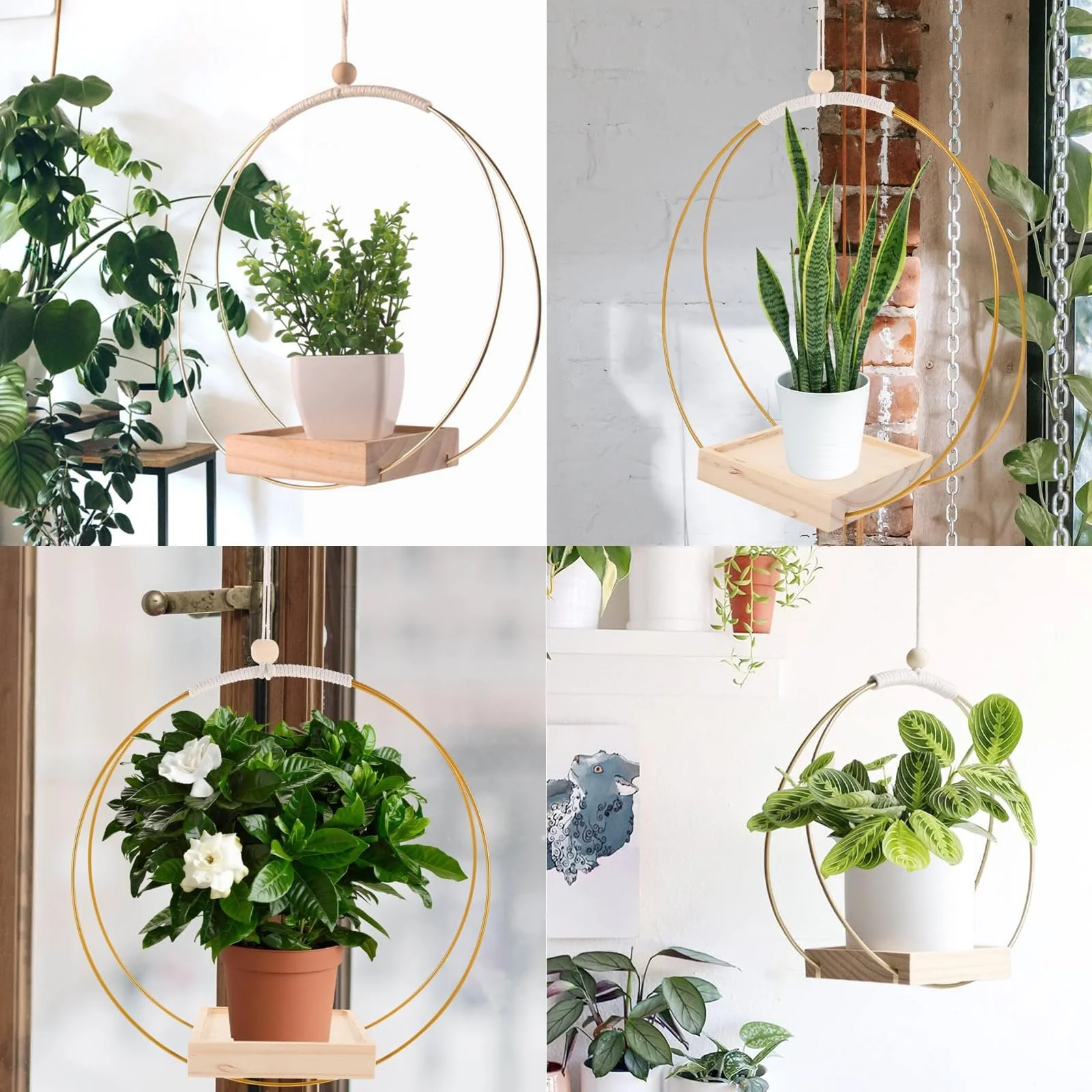 Подвесной вазон Металлическое кольцо с деревянным основанием 30 x 30 см Золотой, фото №8