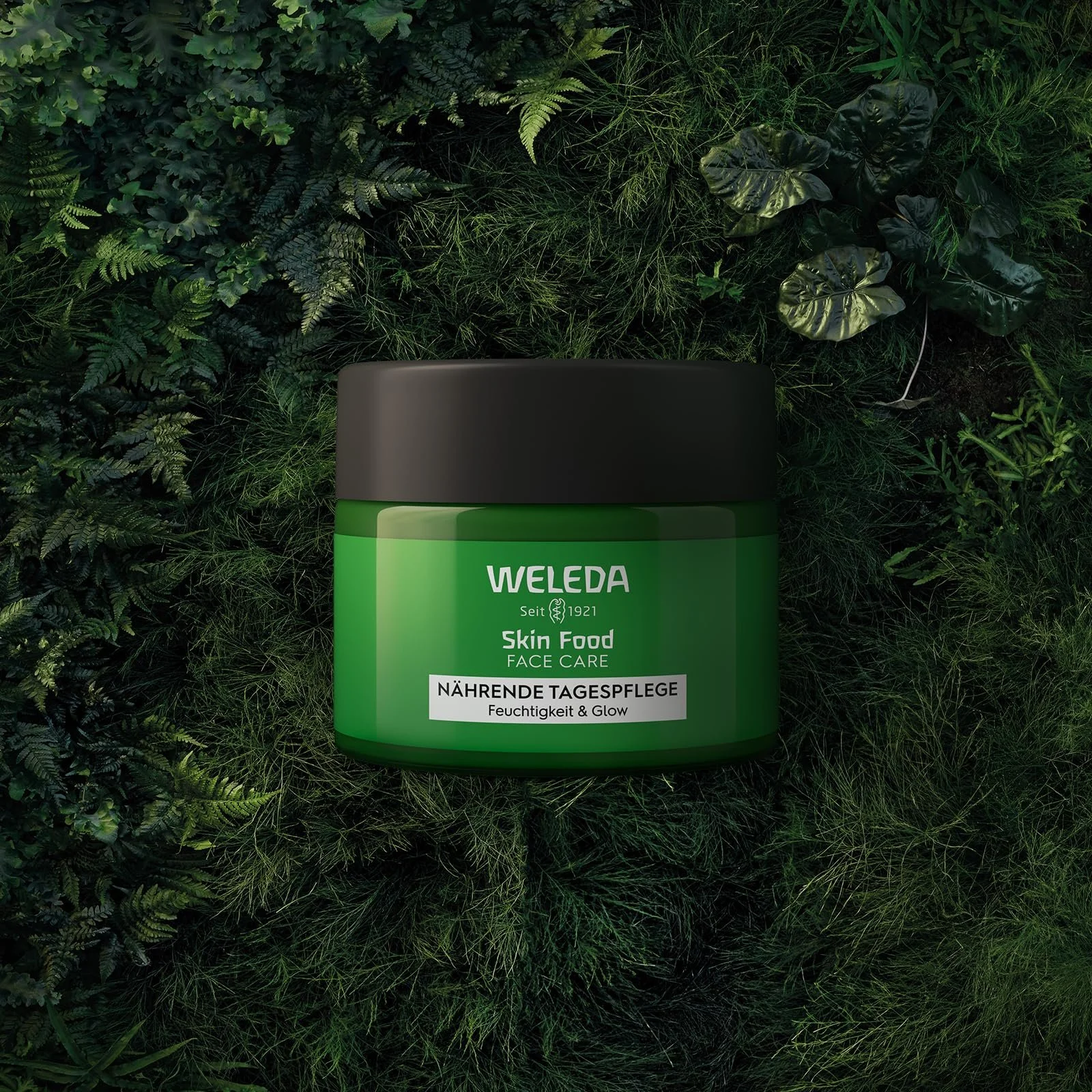 Денний крем WELEDA Organic Skin Food Moisture & Glow зі скваланом та олією ши 40 мл, фото №6 Денний крем WELEDA Organic Skin Food Moisture & Glow зі скваланом та олією ши 40 мл, фото №6