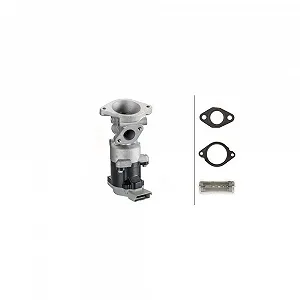 HELLA EGR-клапан 6NU 010 171-821 для LAND ROVER, правый - Фото 1