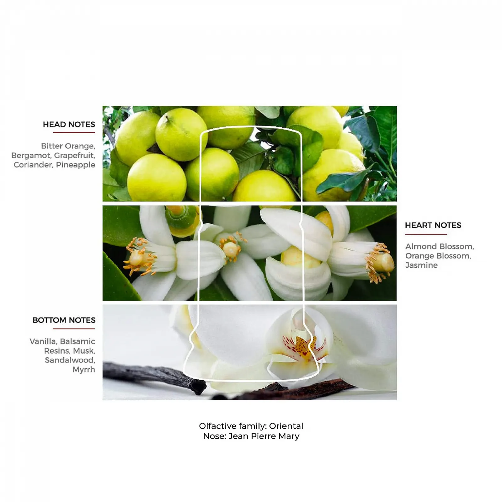 Туалетная вода Laura Biagiotti Roma 100 мл, фото №6 Туалетная вода Laura Biagiotti Roma 100 мл, фото №6