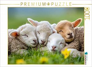 Фотопазл CALVENDO Sheep 1000 деталей 64 x 48 см - Фото 1