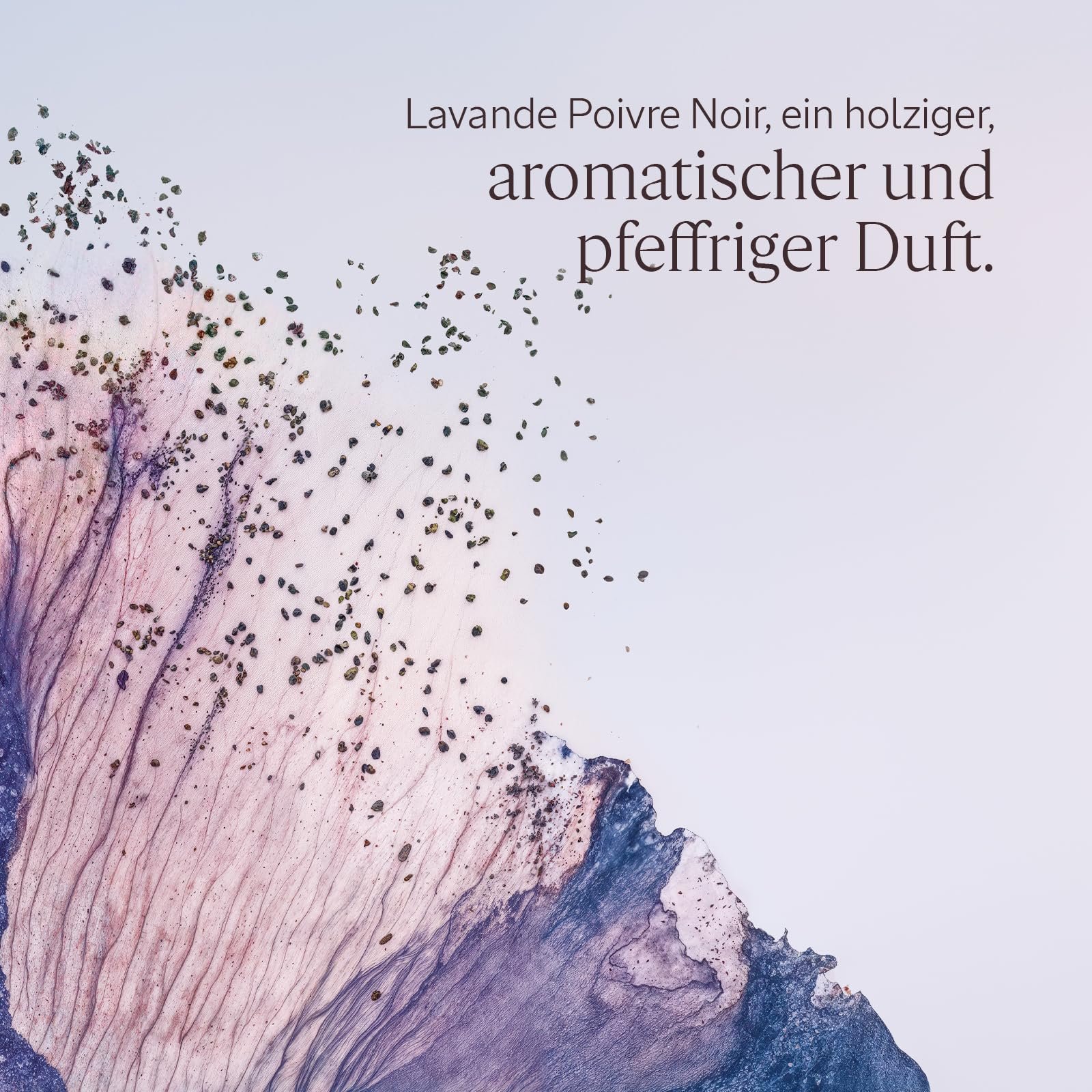 Гель для душа L'OCCITANE Lavande Poivre Noir, фото №3