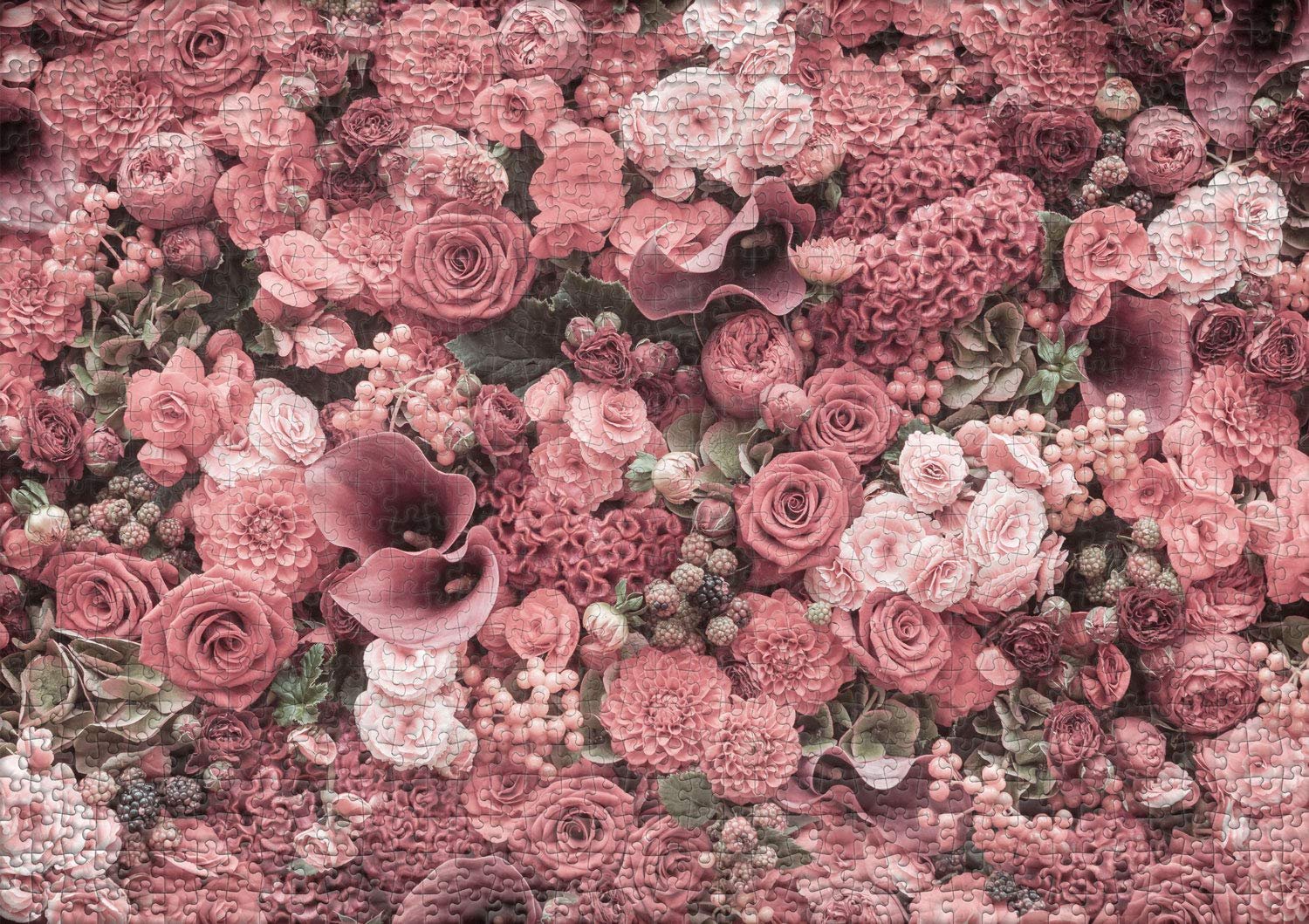 Пазл Ulmer Puzzleschmiede Classic Rose Blush 1000 элементов Красный, фото №2