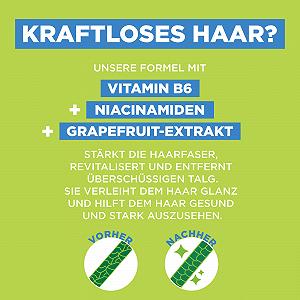 Шампунь Garnier Fructis Сила и Блеск Укрепляющий Экстракт Грейпфрута XXL 1000 мл synthetic.ua - Фото 1