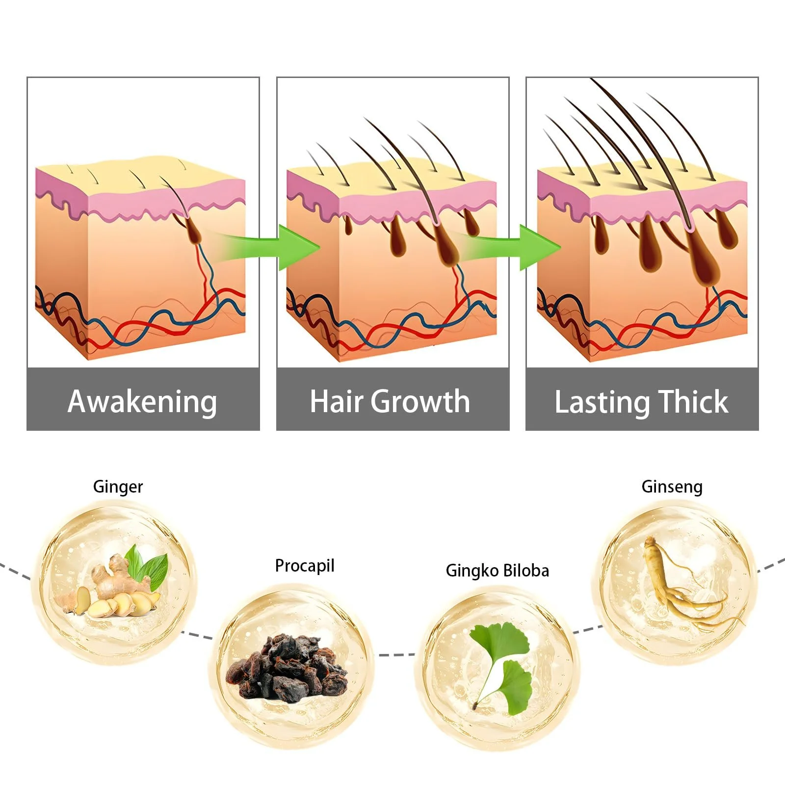 Сироватка для волосся Scalphy, Сироватка для шкіри голови Seapuri, Scalphy Hair, Seapuri Scalp, 2 шт. в упаковці, фото №4 Сироватка для волосся Scalphy, Сироватка для шкіри голови Seapuri, Scalphy Hair, Seapuri Scalp, 2 шт. в упаковці, фото №4