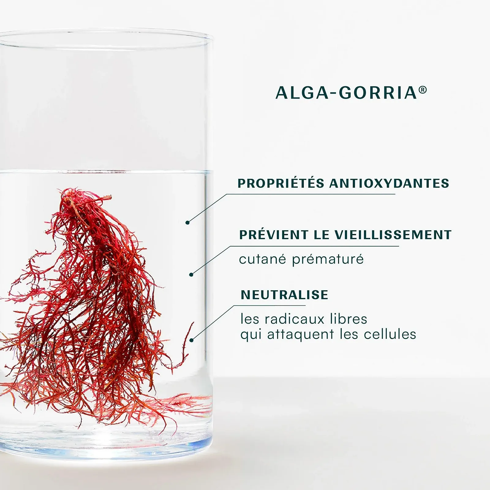 Крем для рук Laboratoire de Biarritz Захисний, Органічний сертифікат, 50 мл, фото №5