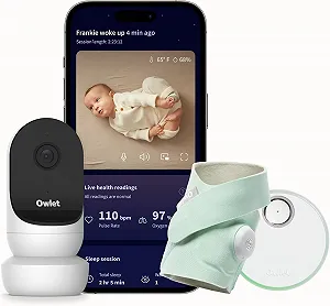Купити Набір Owlet Dream: Шкарпетка Dream + Камера 2 М'ятний - Фото 1 Набір Owlet Dream: Шкарпетка Dream + Камера 2 М'ятний - Фото 1