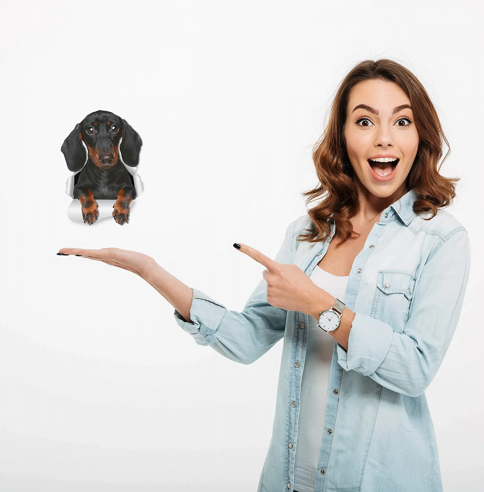 Наклейки на стіну Winston & Bear Такса 3D ефект набір 2 шт., фото №2