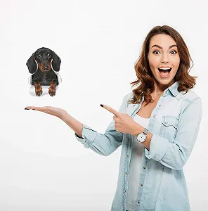 Наклейки на стіну Winston & Bear Такса 3D ефект набір 2 шт. synthetic.ua - Фото 1