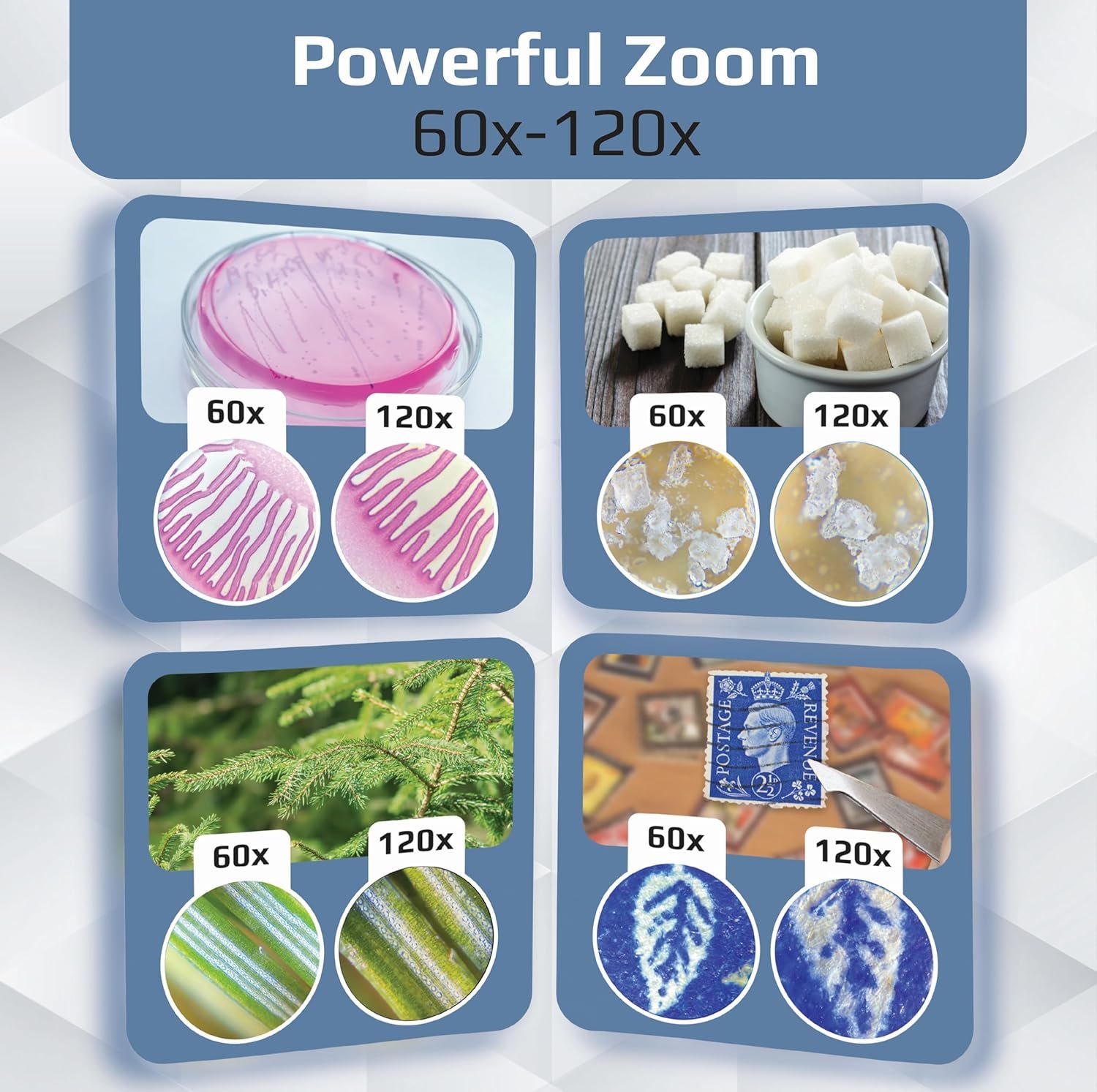 Мікроскоп кишеньковий Carson MicroBrite Plus 60x - 120x LED Сірий, фото №5