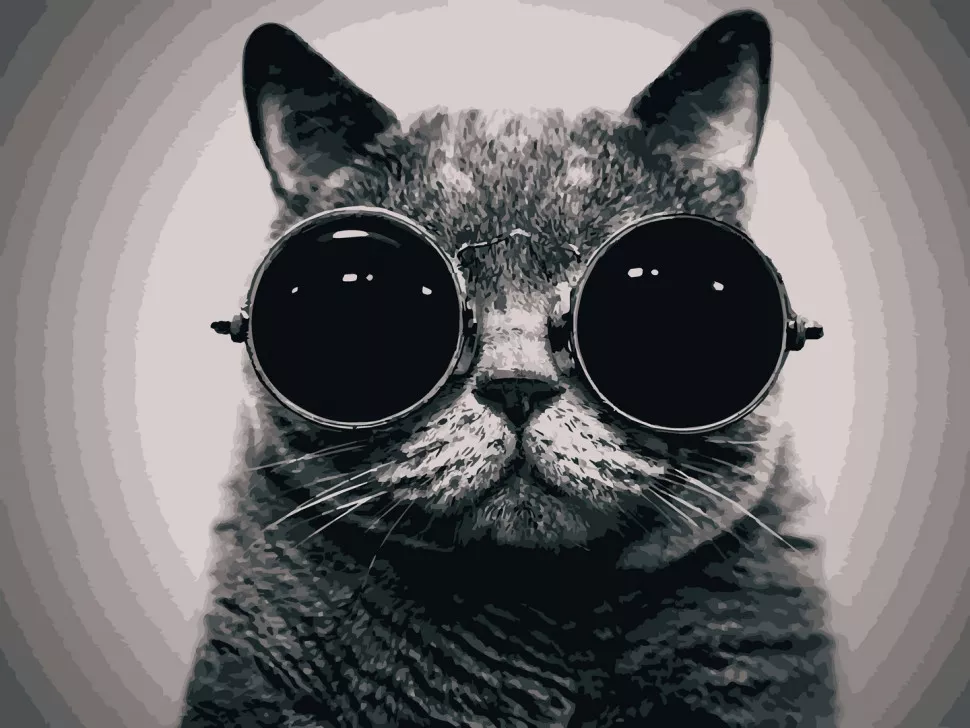 Картина по номерам Art Craft Кот Морфеус 40*50 см 11607-AC, картины номерам раскраски с номерами рисование номерам картина на холсте, фото №1