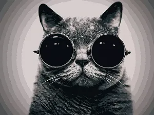 Купить Картина по номерам Art Craft Кот Морфеус 40*50 см 11607-AC, картины номерам раскраски с номерами рисование номерам картина на холсте - Фото 1 Картина по номерам Art Craft Кот Морфеус 40*50 см 11607-AC, картины номерам раскраски с номерами рисование номерам картина на холсте - Фото 1