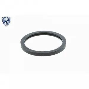 Термостат охолоджувальної рідини VEMO EXPERT KITS + V50-99-0002 для SAAB GENERAL MOTORS synthetic.ua - Фото 1