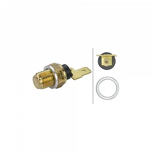 Купить Датчик температуры масла HELLA 6PT 009 107-691 для FORD SEAT SKODA VW - Фото 1 Датчик температуры масла HELLA 6PT 009 107-691 для FORD SEAT SKODA VW - Фото 1