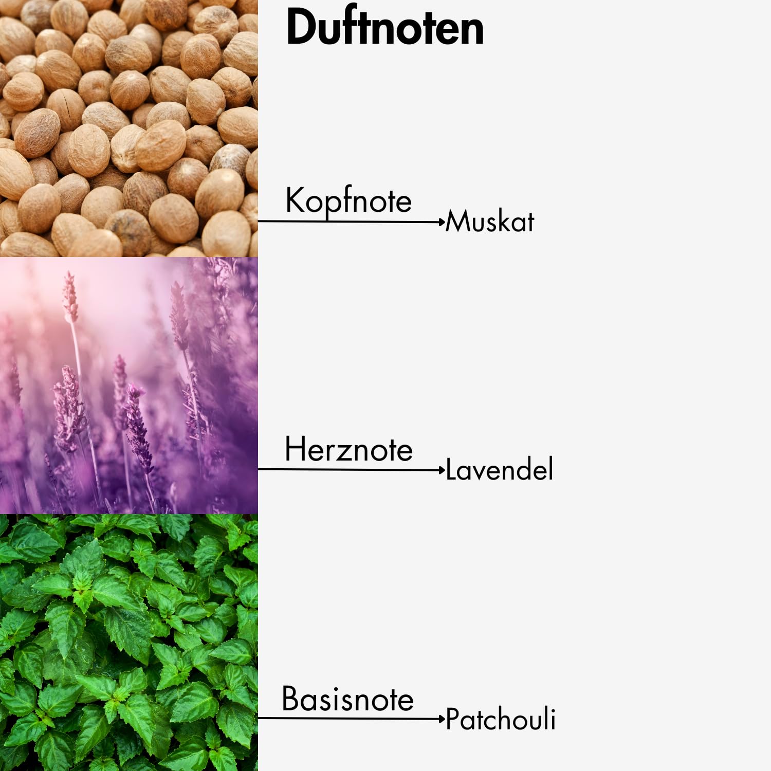 Extrait de Parfum AVAPARI Savas Elex Деревно-Пряний Унісекс 30 мл, фото №2