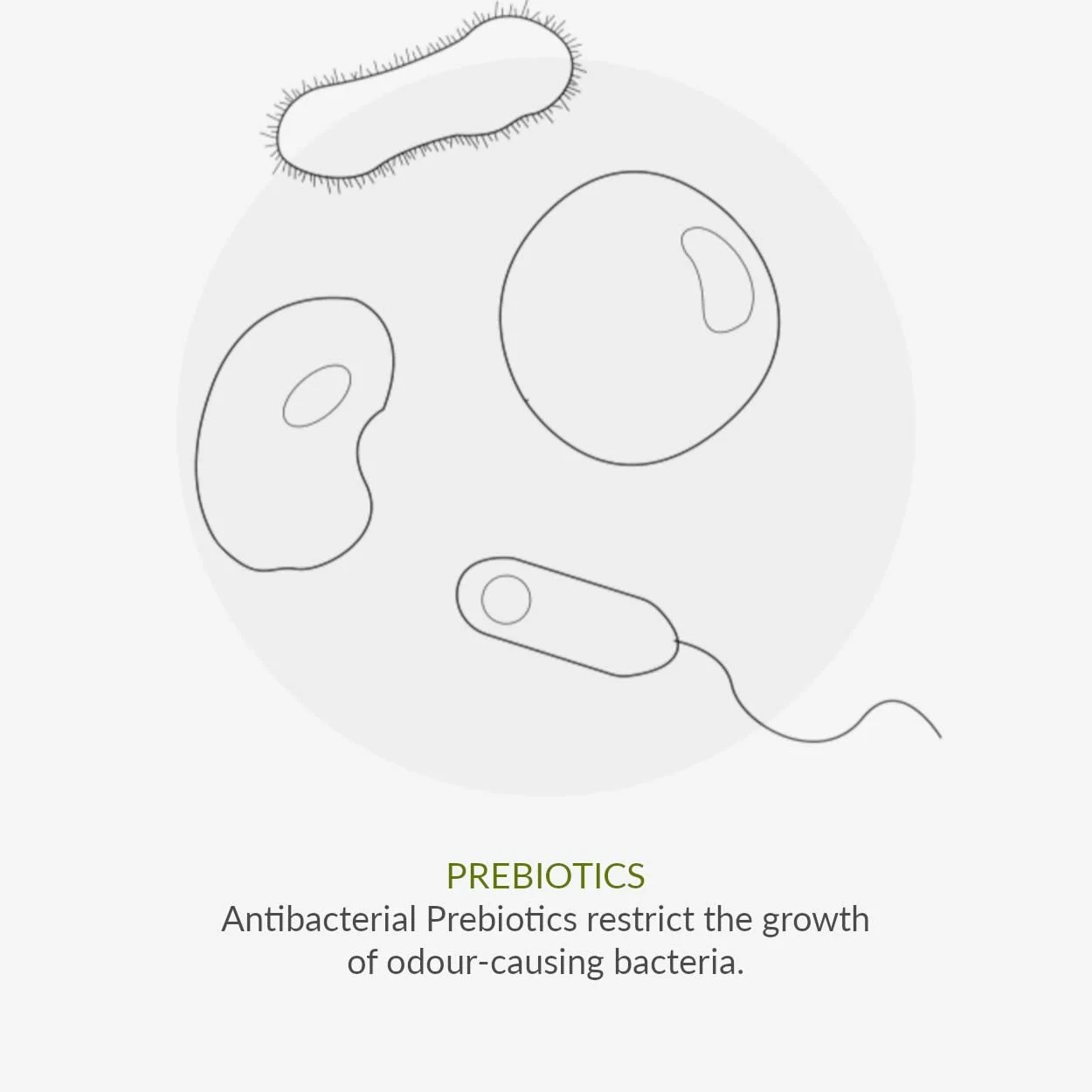 Дезодорирующий крем для ног Green People Prebiotic с пребиотиками и мятой 50 мл, фото №8