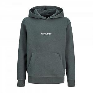 Свитшот JACK & JONES Vesterbro для мальчика, сине-белый - Фото 1