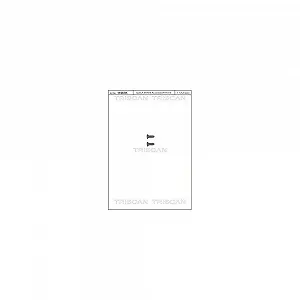 Комплект болтов тормозного диска TRISCAN 8105 116008 для AUDI OPEL SAAB SEAT SKODA VW - Фото 1