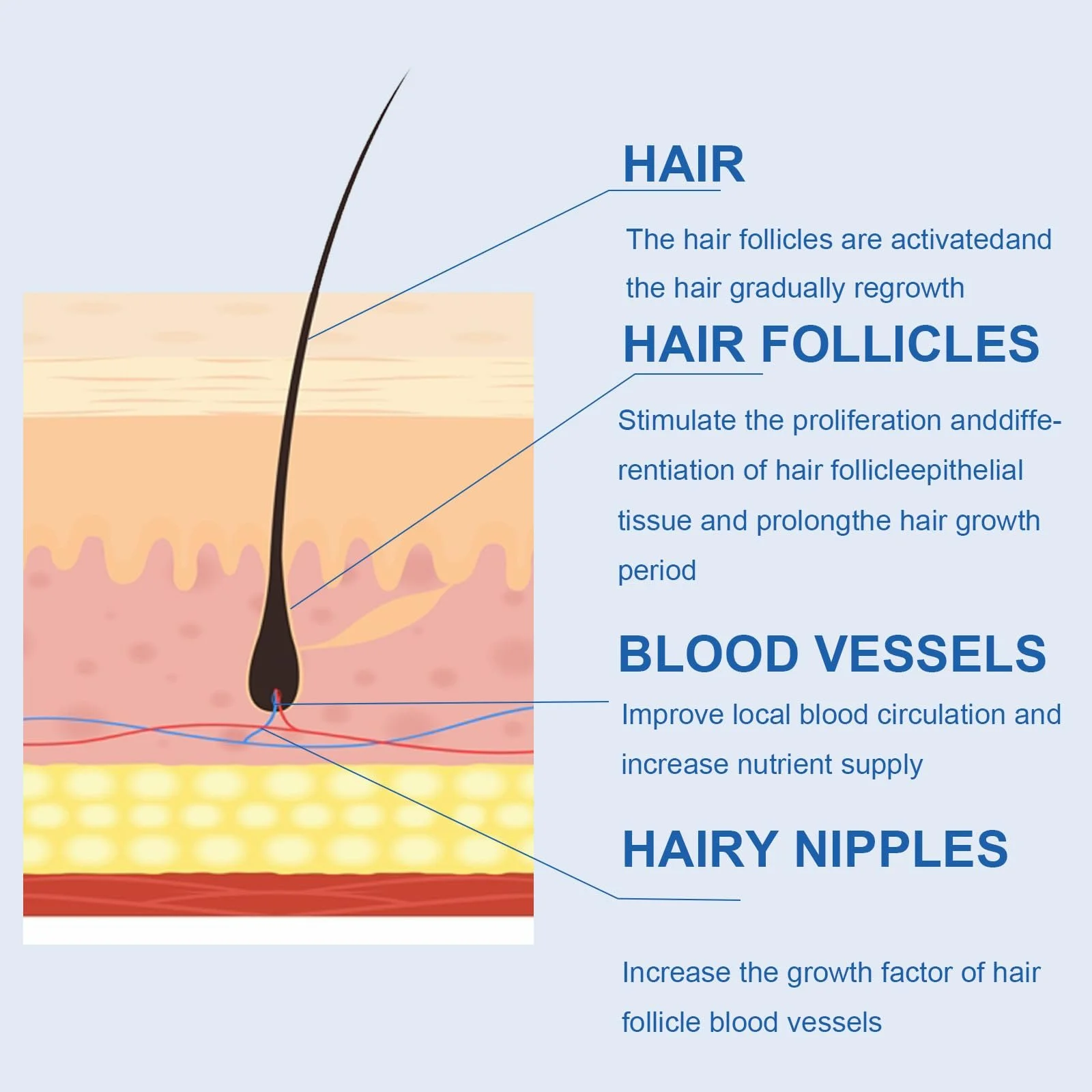 Сироватка для росту волосся 60 мл, Засіб для росту волосся для жінок та чоловіків, фото №7