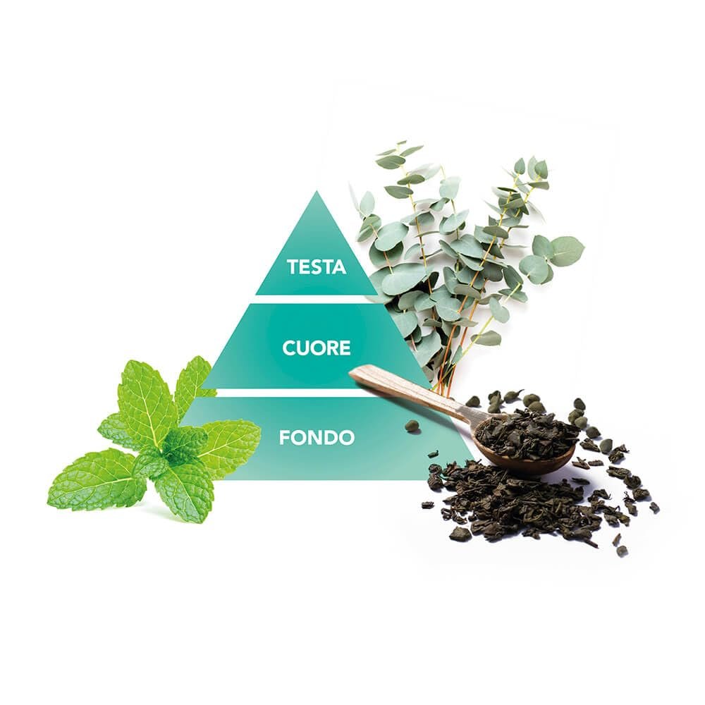 Гель для душу Felce Azzurra My Mood Wonder Mint м'ятний 12 х 250 мл, фото №6