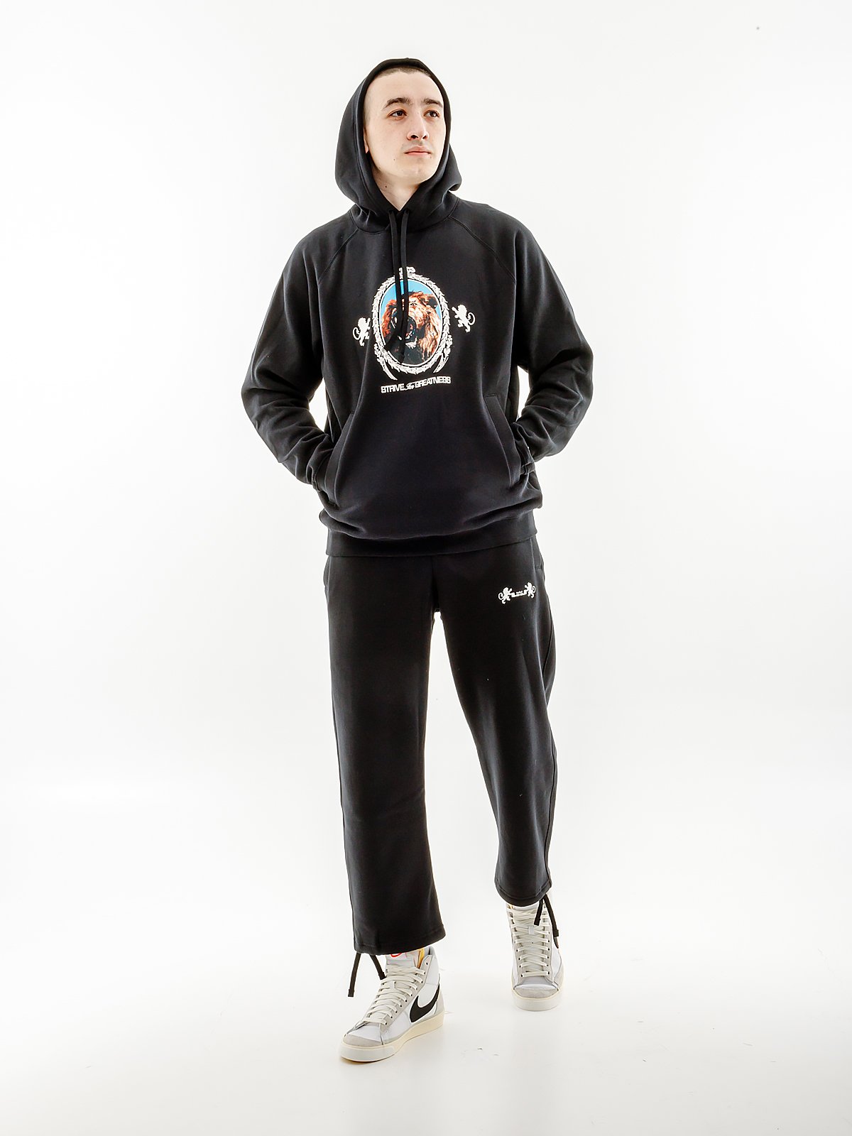 Джемпер Nike LJ BRSH PO HOODIE L, фото №4