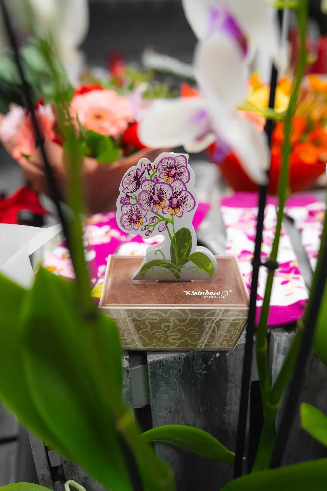 Шкарпетки Rainbow Socks Квітка Орхідея - 2 пари, фото №7