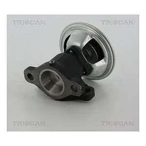Клапан EGR TRISCAN 8813 28011 для CITROËN FIAT PEUGEOT synthetic.ua - Фото 1