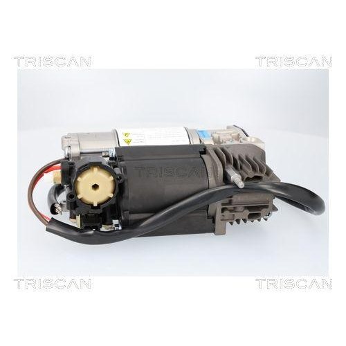 Компресор, пневмосистема TRISCAN 8725 11107 BMW, фото №3