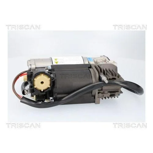 Компрессор, пневмосистема TRISCAN 8725 11107 BMW, фото №3