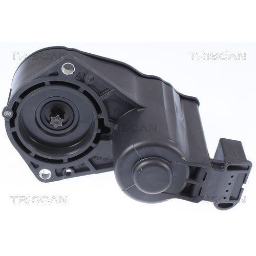 Исполнительный элемент, суппорт стояночного тормоза TRISCAN 8170 208018 для CITROËN, фото №3