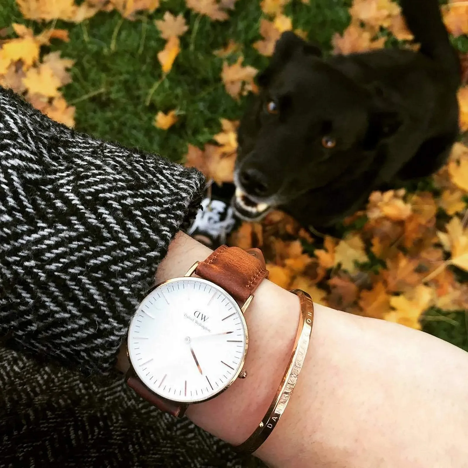 Часы Daniel Wellington Classic Серебряный Кожа, фото №5 Часы Daniel Wellington Classic Серебряный Кожа, фото №5