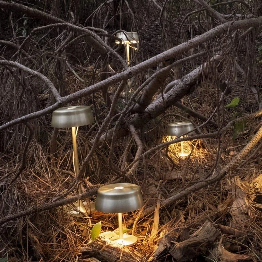 Настільна лампа Zafferano Sister Light акумуляторна бездротова 32,8 см золотий анодований, фото №5