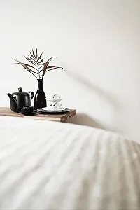 Кавник Seltmann Weiden 001.764284 1.30 л Velvet Black synthetic.ua - Фото 1