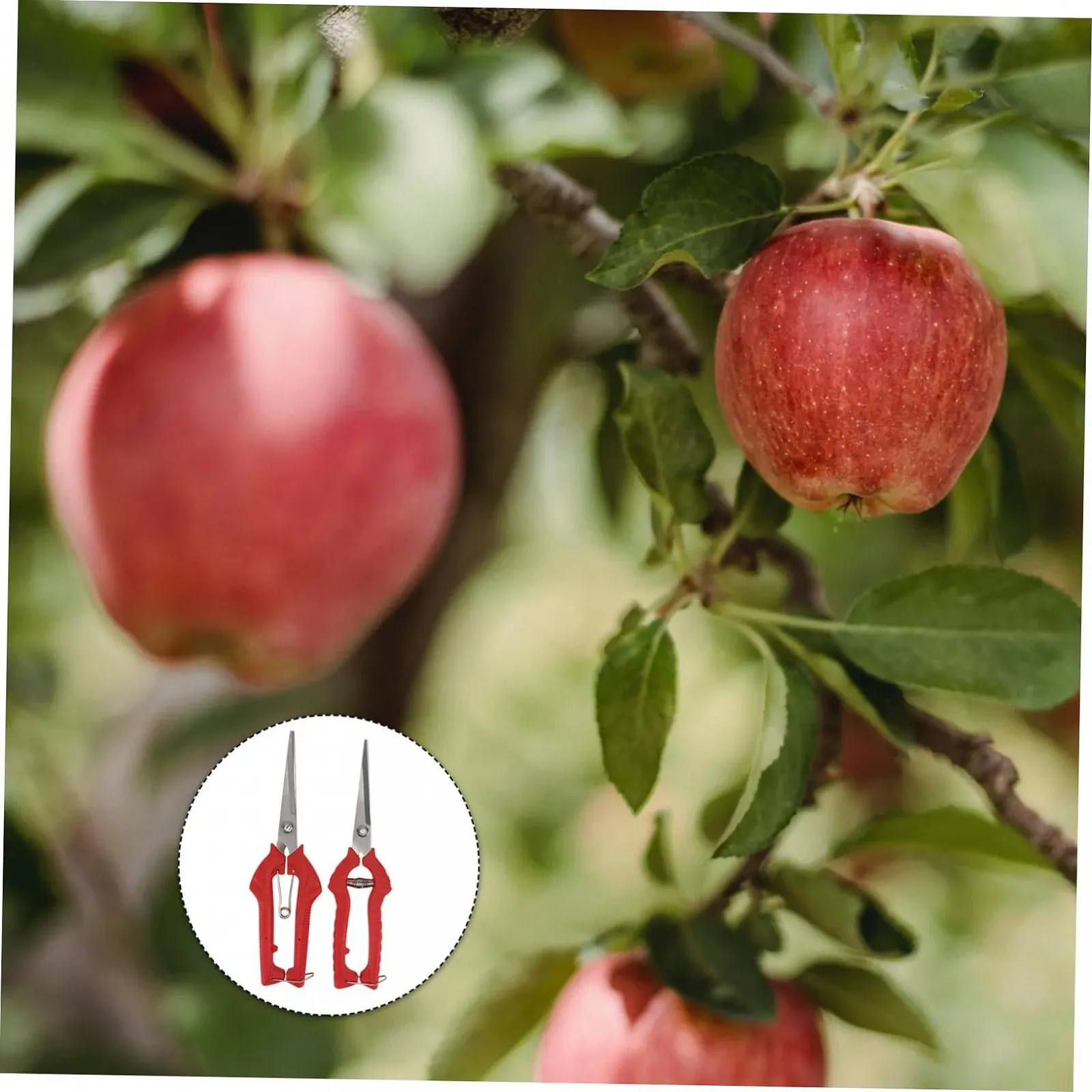 Набір секаторів Happyyami PP Червоний 2 шт, фото №3