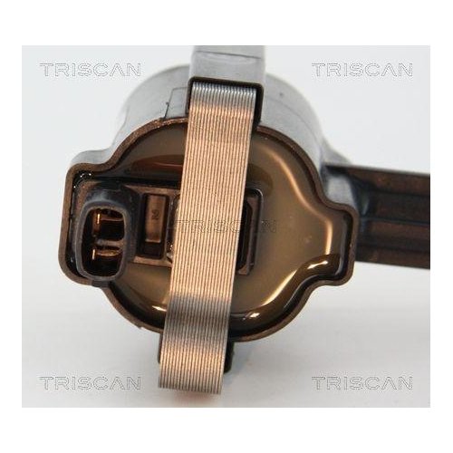 Катушка зажигания TRISCAN 8860 10031 для JAGUAR, фото №2 Катушка зажигания TRISCAN 8860 10031 для JAGUAR, фото №2