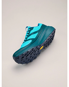 Кросівки ARC'TERYX Norvan LD 3 GTX Shoe Blue Tetra/Pytheas 44 synthetic.ua - Фото 1
