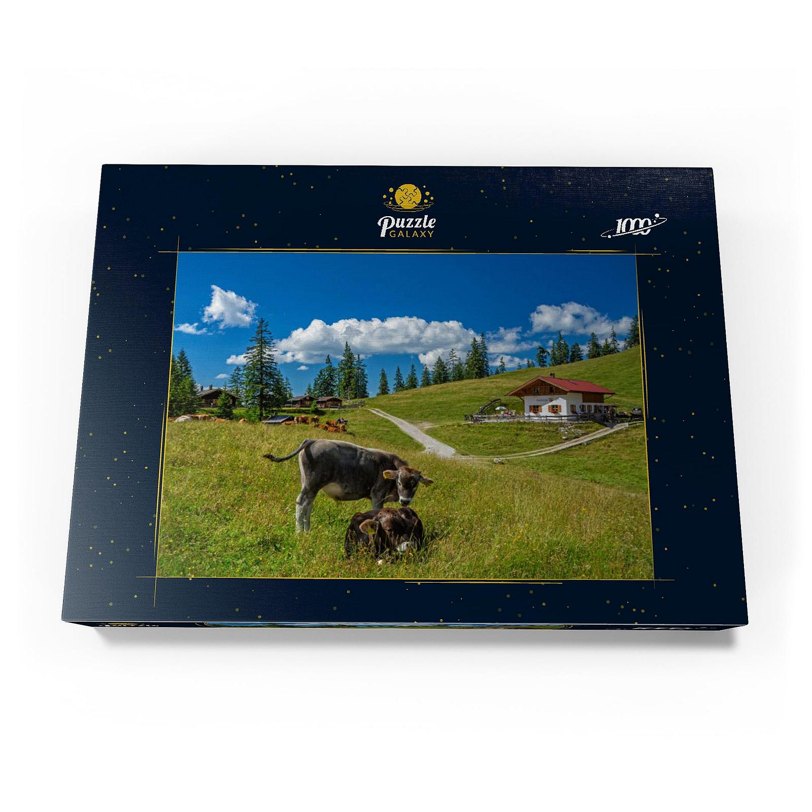 Пазл MyPuzzle Special Collection Fischbachalm (1402 м), Krün, Upper Bavaria Премиум 1000 элементов, фото №4 Пазл MyPuzzle Special Collection Fischbachalm (1402 м), Krün, Upper Bavaria Премиум 1000 элементов, фото №4